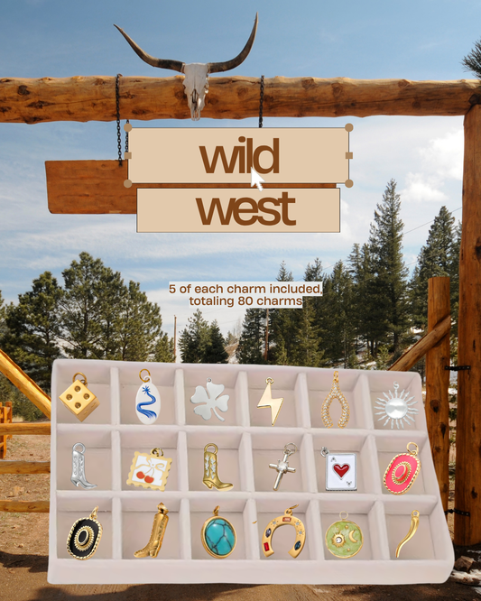 Wild West Charm Box